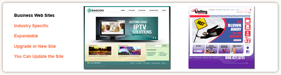 Business Web Sites