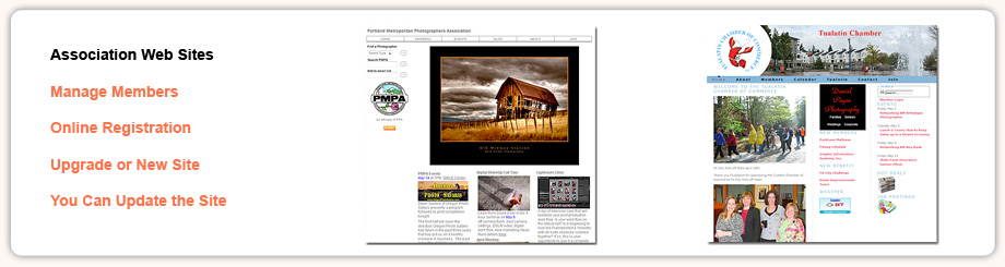 Association Web Sites